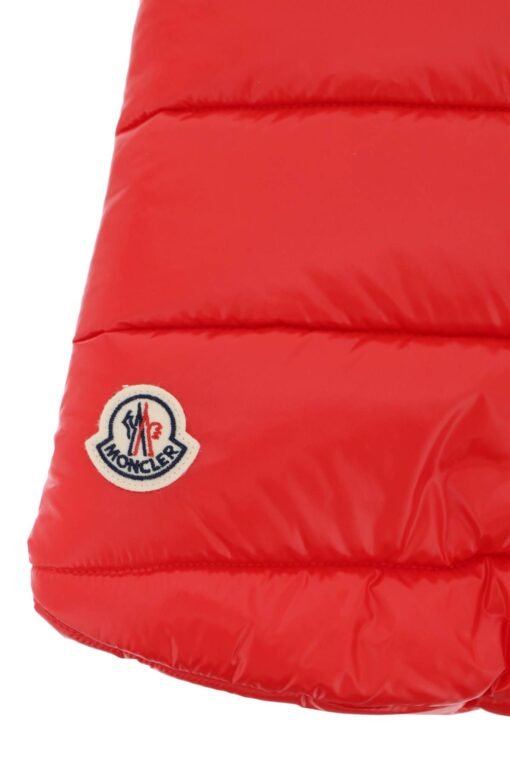 dog down vest - Image 4