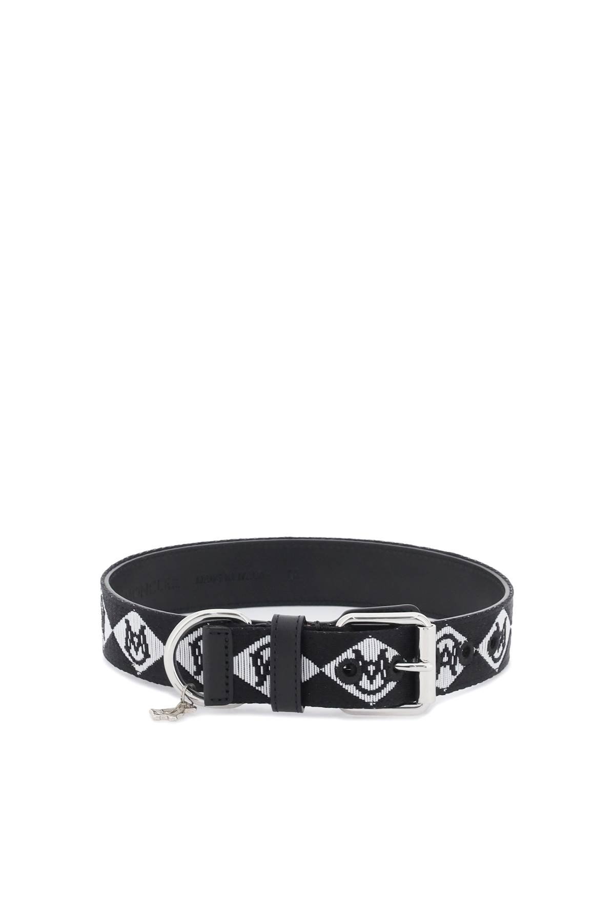 nylon collar with monogram