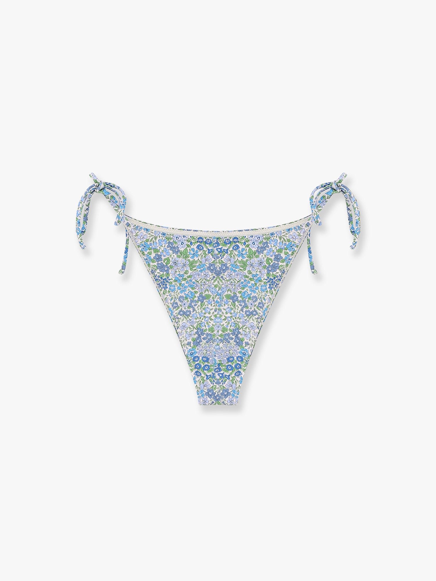 Marielle nylon bikini slip
