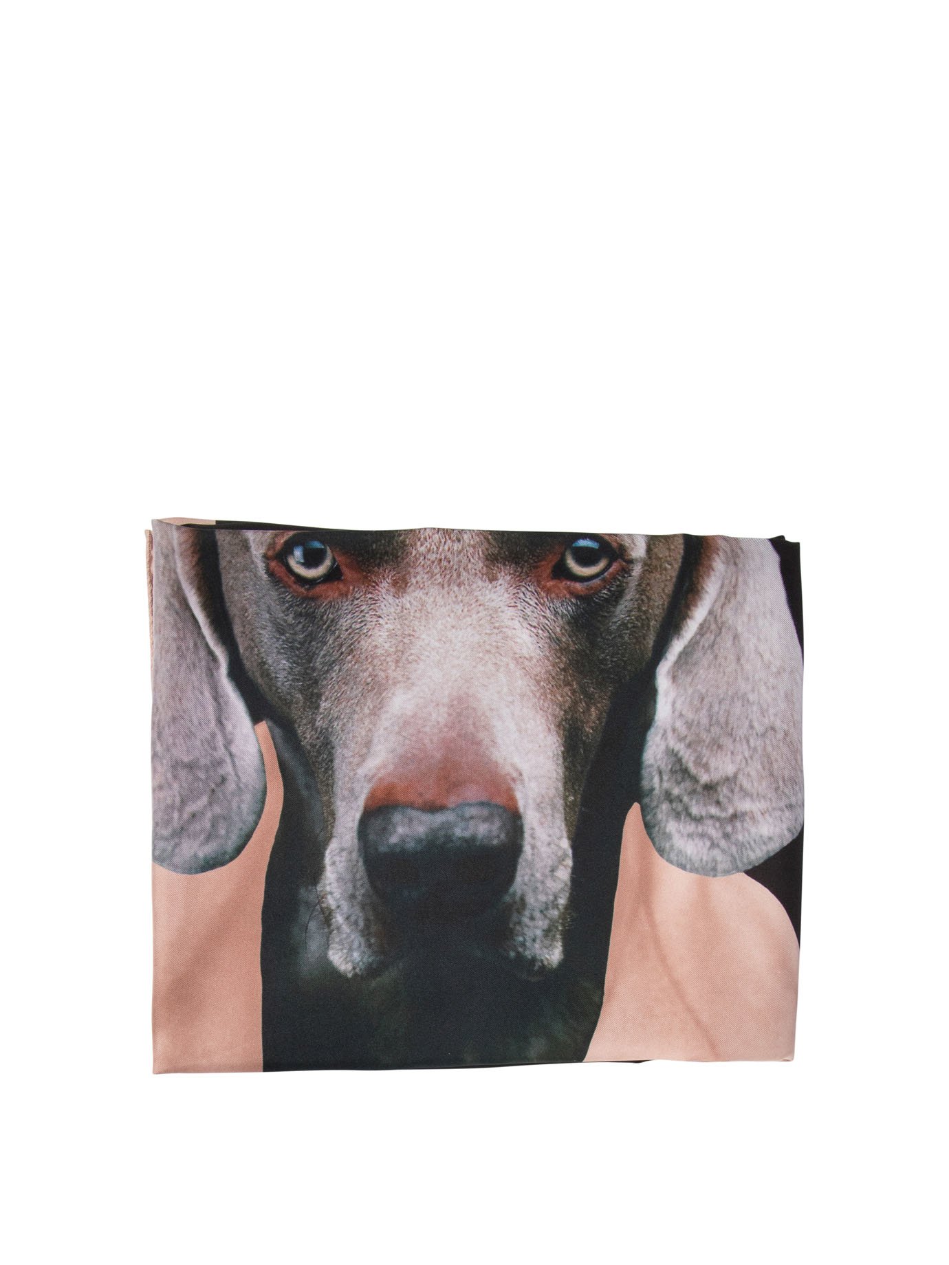 Printed silk scarf